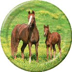Wild Horses Party plates