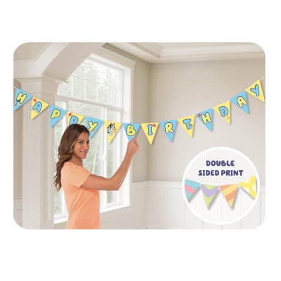 Bluey Bunting Banners 4.5m