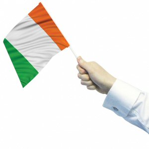 Ireland Waving Flags 30cm x 45cm