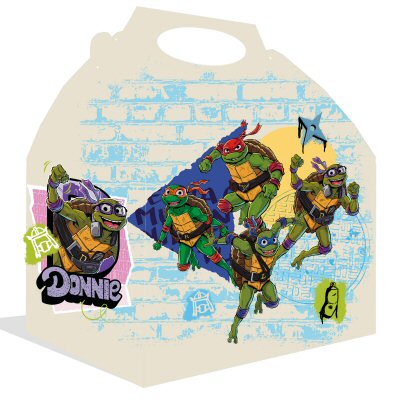 Turtles Party Cardboard Lunch Boxes