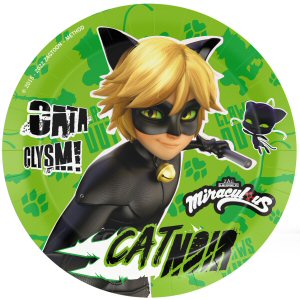 Cat Noir Party 23cm Paper Plates