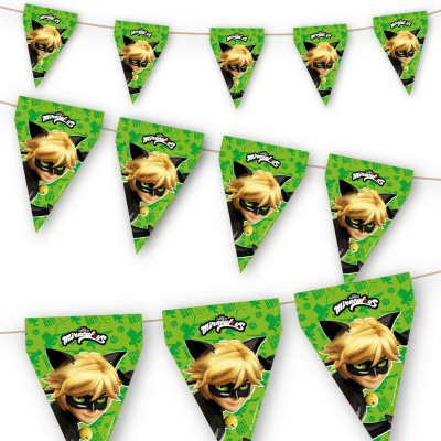 Cat Noir Party Flag Bunting