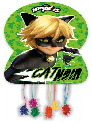 Cat Noir Party Large Pinata