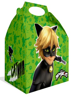 Cat Noir Party Cardboard Lunch Boxes