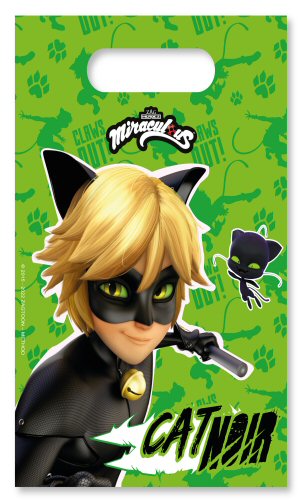 Cat Noir Party Loot Bags with Handles