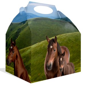 Horse And Pony Party Lunch Box