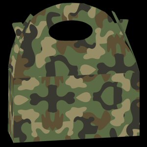 Camouflage Party Lunch Box