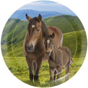 Horse and Pony Party plates