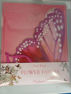 Flower Fairies party wings