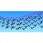 Hanging Bat Decoration 670024