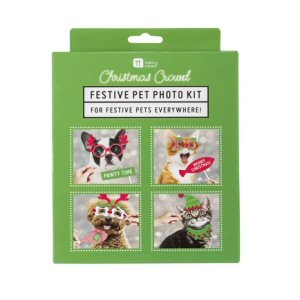 Festive pet photo kit