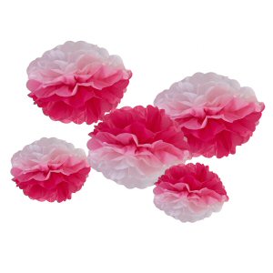 Pink Ginger Ray Ombre Pom Poms