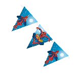 Spiderman Party supplies party bunting bbs